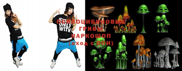 гидропоника Зеленодольск