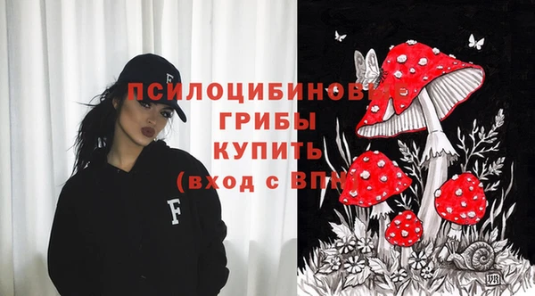 ПСИЛОЦИБИНОВЫЕ ГРИБЫ Зерноград