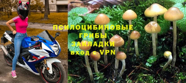 ПСИЛОЦИБИНОВЫЕ ГРИБЫ Зерноград