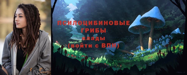 гидропоника Зеленодольск