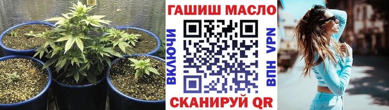 ТГК концентрат  Купить  Заполярный 