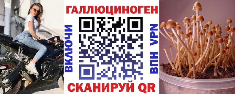 Псилоцибиновые грибы Magic Shrooms  Купить  Заполярный 