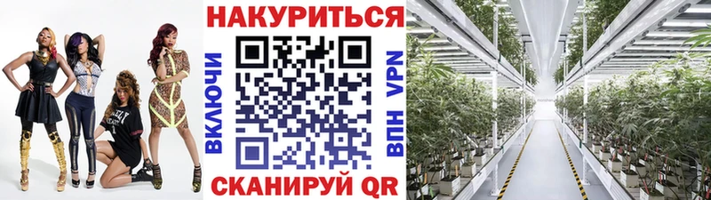 Купить где  Заполярный  Бошки Шишки Amnesia 